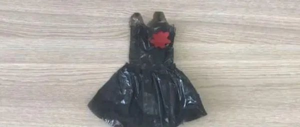 怎样制作关于环保的衣服(图片)