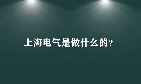 上海电气是做什么的？