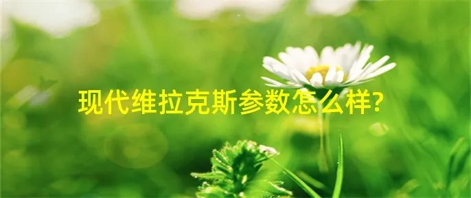 现代维拉克斯参数怎么样?