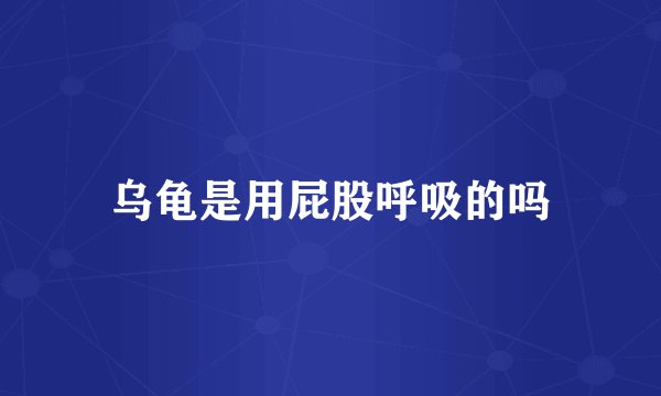 乌龟是用屁股呼吸的吗