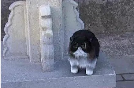 甄嬛传里有哪些穿帮镜头？