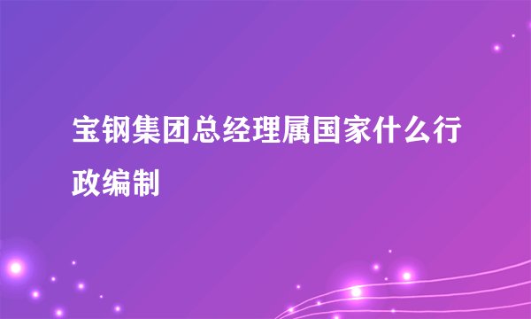 宝钢集团总经理属国家什么行政编制