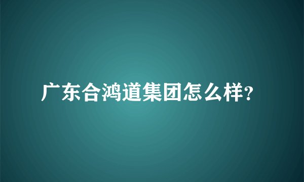 广东合鸿道集团怎么样？