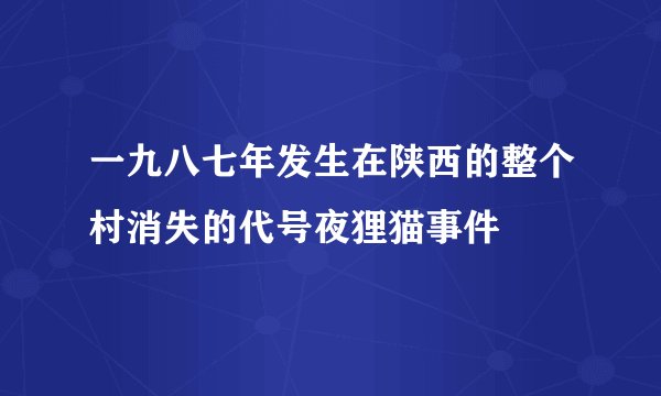 一九八七年发生在陕西的整个村消失的代号夜狸猫事件