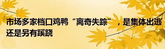 市场多家档口鸡鸭“离奇失踪”，是集体出逃还是另有蹊跷
