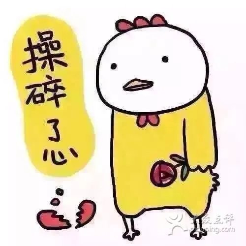 冷冰寒的内容简介