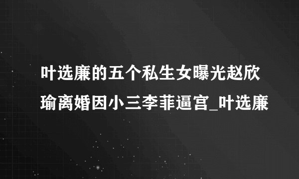 叶选廉的五个私生女曝光赵欣瑜离婚因小三李菲逼宫_叶选廉