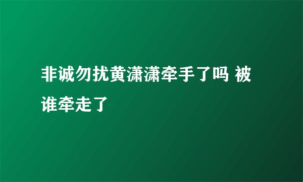 非诚勿扰黄潇潇牵手了吗 被谁牵走了