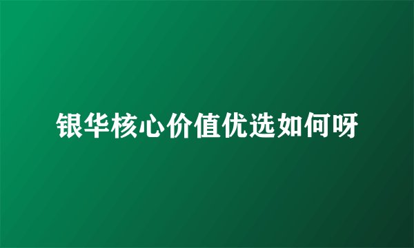 银华核心价值优选如何呀