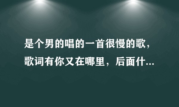 是个男的唱的一首很慢的歌，歌词有你又在哪里，后面什么等爱深，是什