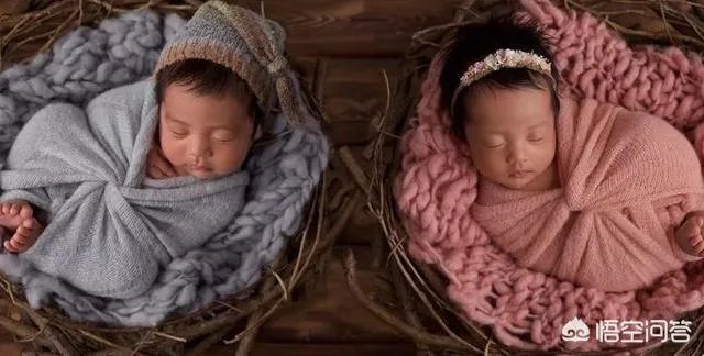 恭喜张杰和谢娜宝宝的出生。为什么明星容易生双胞胎？