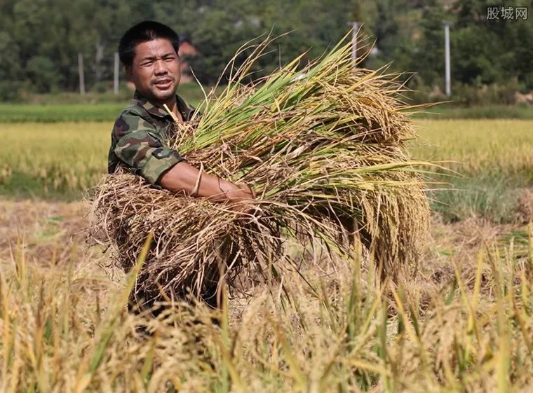建议建立农民退休制度 让65岁以上农民洗脚上田