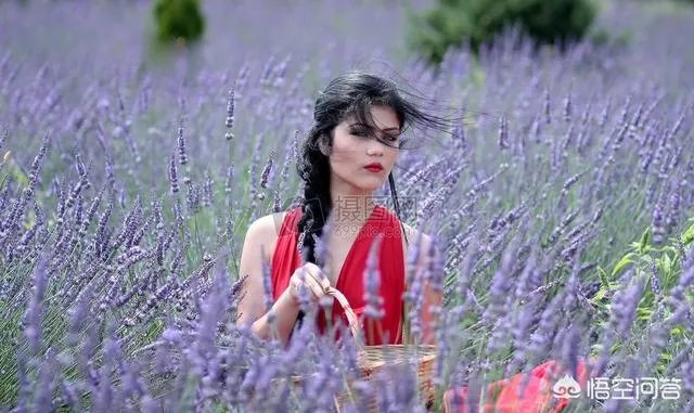 “月明月缺谁贪念孤单，笙歌独欢看灯火阑珊，终是岁月荏苒”，怎么理解这句话的意思？