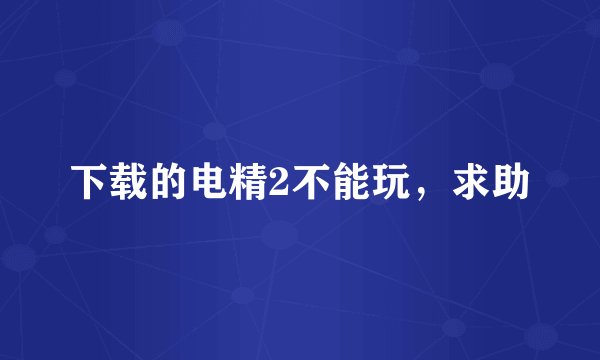 下载的电精2不能玩，求助