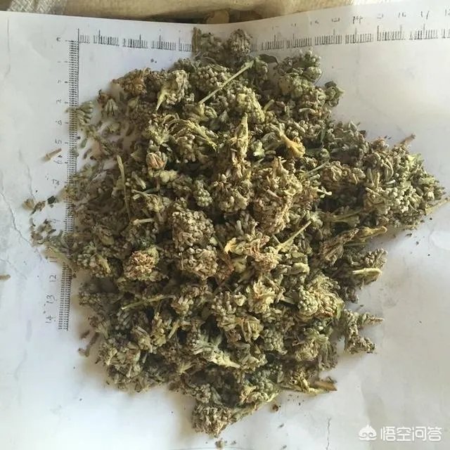 黄连、决明子和密蒙花泡水喝的功效是什么？