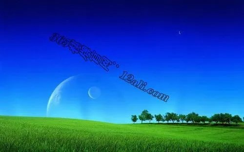 可以挣钱的方法？