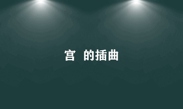 宫  的插曲