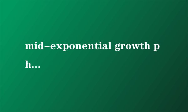 mid-exponential growth phase是什么意思