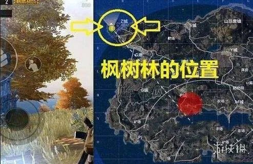 《刺激战场》绝地海岛地图的野餐聚点介绍 野餐聚点这里找