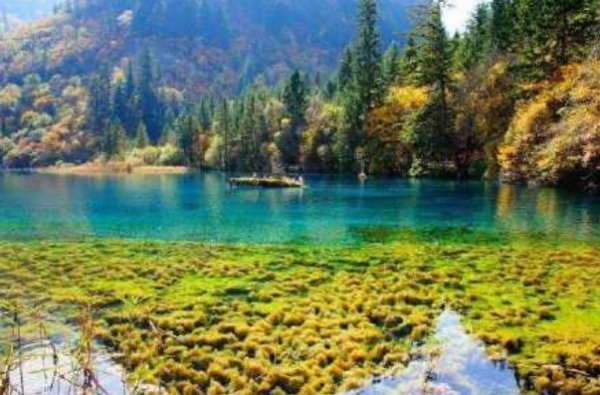 关于九寨沟火花海将恢复开放一事，你有何看法？