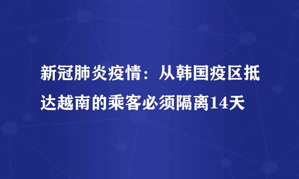 新冠肺炎疫情：从韩国疫区抵达越南的乘客必须隔离14天
