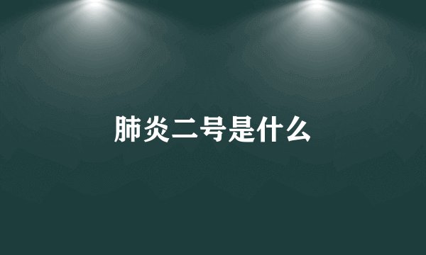 肺炎二号是什么