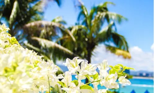 三亚旅游值得去的几个景点有哪些？可以具体说说吗？