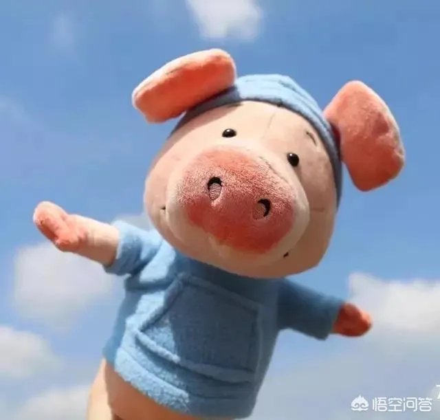 想当美术老师，是当画室老师比较好，还是在学校当老师比较好？