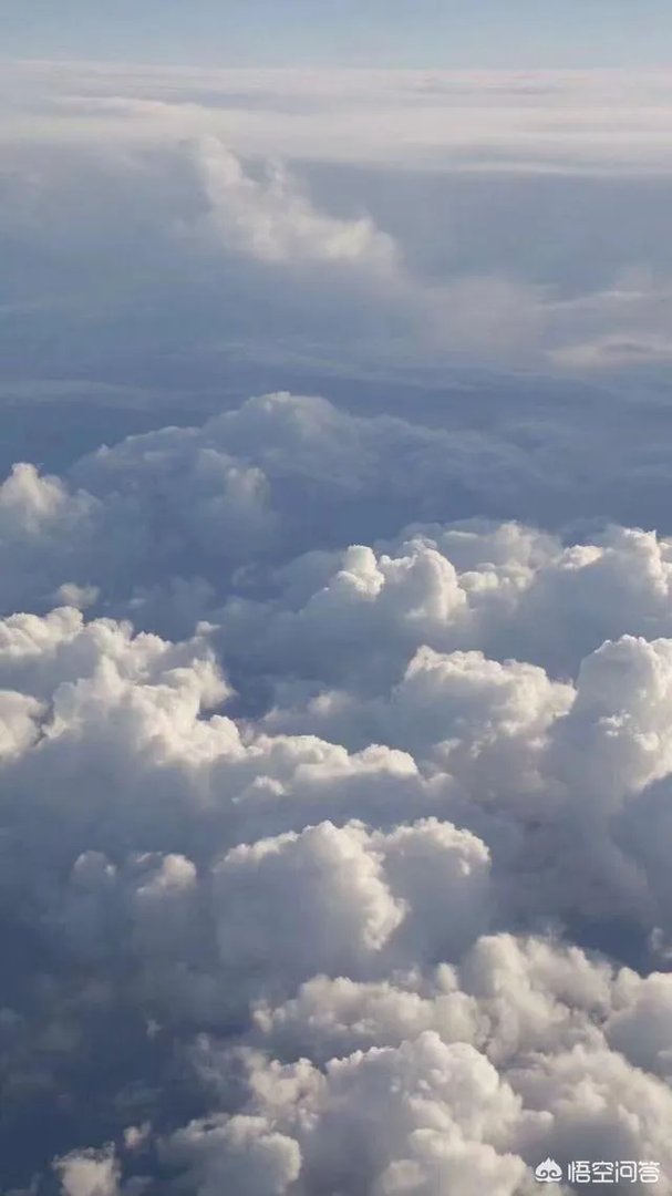 有哪些清新可爱的手机壁纸可以推荐？