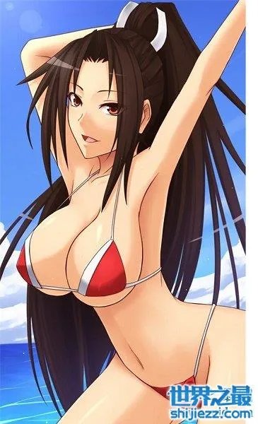 十大宅男游戏，宅男必玩的十款绅士游戏 