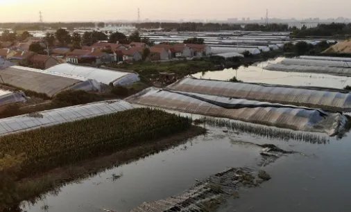 为何利奇马明明不经过上海，却对上海影响那么大？