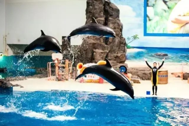 湖南宁乡县都设市了，长沙县改区为什么推动不了？