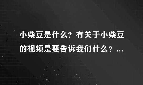 小柴豆是什么？有关于小柴豆的视频是要告诉我们什么？有什么深意？