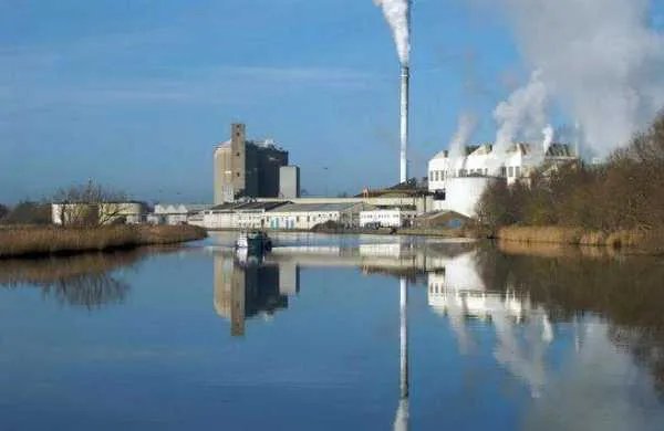 海南首次发现蜻蜓新物种,这说明我们的环境变好了么?