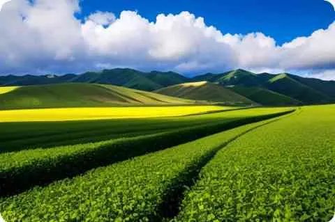 多情自古伤离别、 更那堪、冷落清秋节。 这个是什么意思呢？