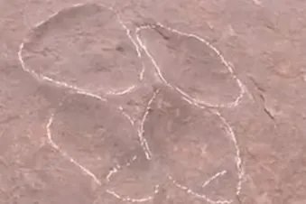 中国最大恐龙足迹点在四川，这一足迹点究竟有多大？