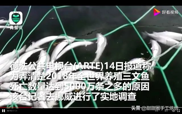 各地纷纷下架三文鱼，现在三文鱼还能吃吗？