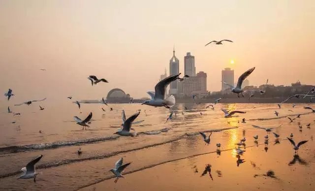 #了不起的青岛# 为什么说青岛是电影之都？