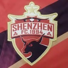 天海一旦无缘中超，替补进入中超的将是深圳兆业佳队，深圳队在中超的前景如何？