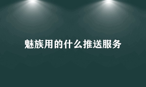 魅族用的什么推送服务