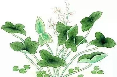 《笑声传奇》为什么没有郭德纲？