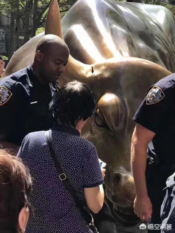 为何有人会破坏华尔街铜牛，难道不喜欢股市上涨？