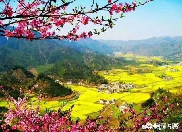 如果人常不在家住还要交卫生费吗