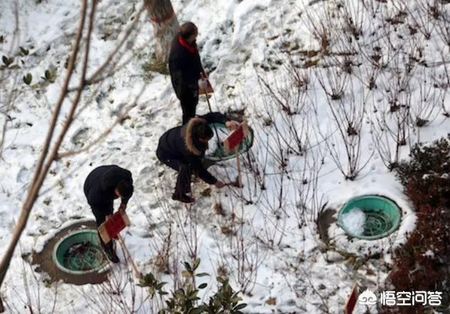 郑州孩子掉入窨井，奶奶施救不幸身亡，遇到这样的事情我们应该怎么办？