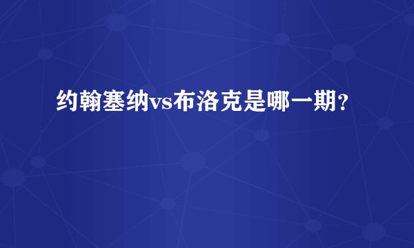 约翰塞纳vs布洛克是哪一期？
