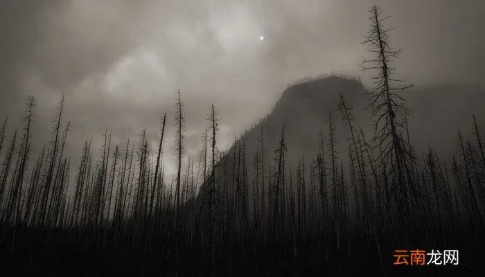 刚才西安地震了2022 西安震感时间