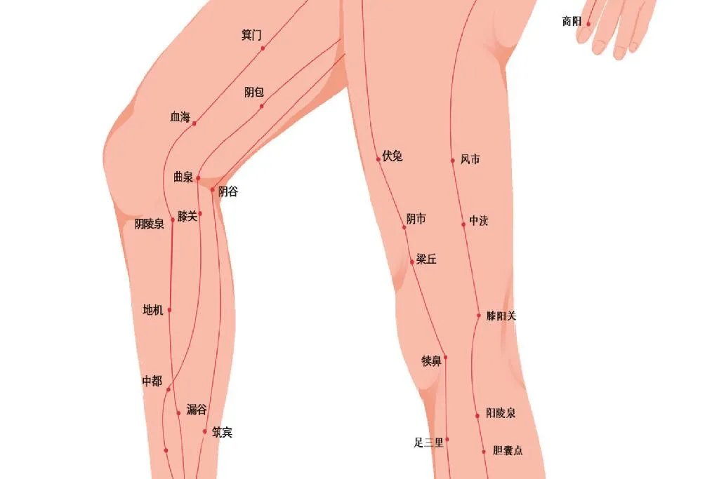 人体经络示意图