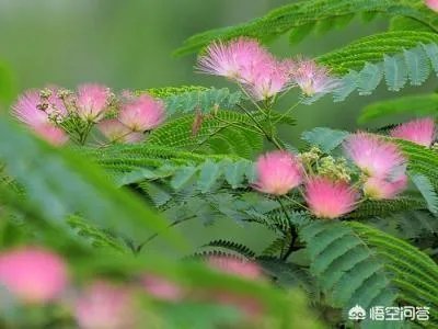 “月明月缺谁贪念孤单，笙歌独欢看灯火阑珊，终是岁月荏苒”，怎么理解这句话的意思？