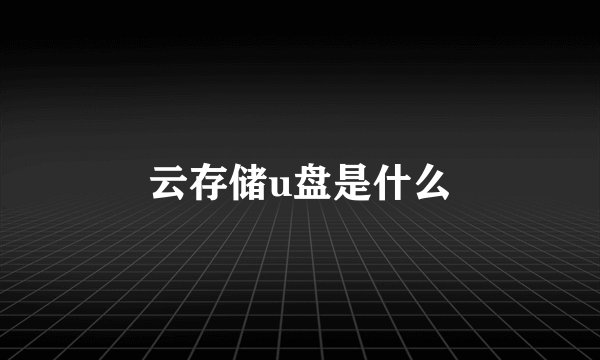 云存储u盘是什么