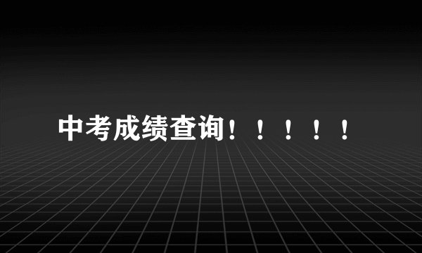 中考成绩查询！！！！！